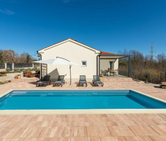Villa Bogondon With Private Pool Near Labin\n