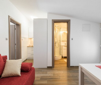 Fancy Apartments Dream - Standard One Bedroom Apar